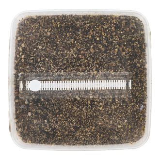 Gesteriliseerd Substraat