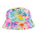 Cannabis Vissershoed