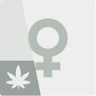 Gefeminiseerde Wietzaden