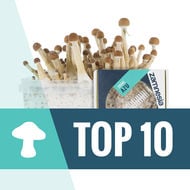 Top 10 Paddo's