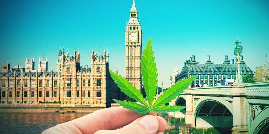 Cannabis Kweken In Het Britse Klimaat