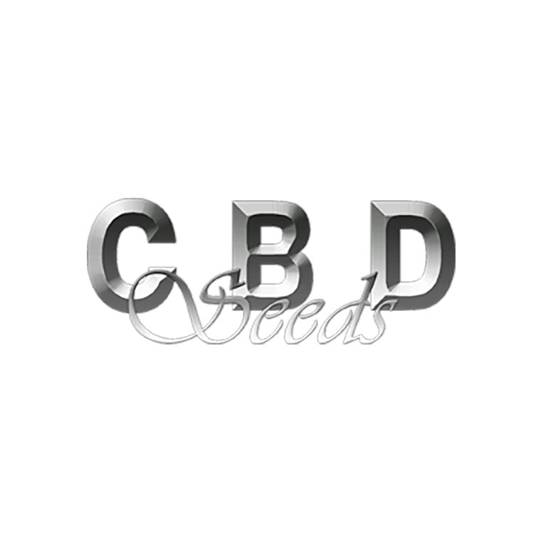 CBD Seeds