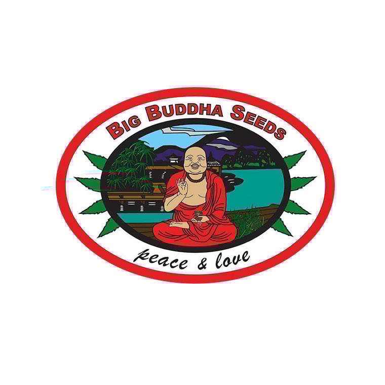 Big Buddha Seeds