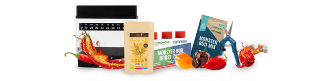 Accessoires & Kweekbenodigdheden