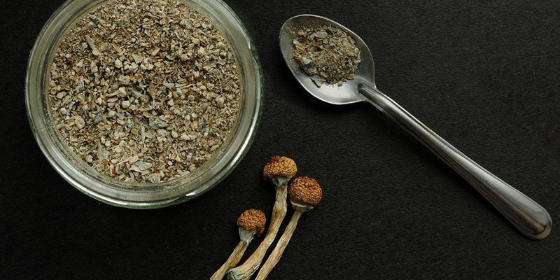 Psilocybe Cubensis Gebruiken