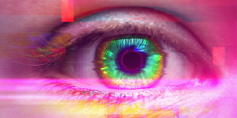 Wat Zijn De Effecten Van Het Gebruik Van Psilocybe Cubensis?