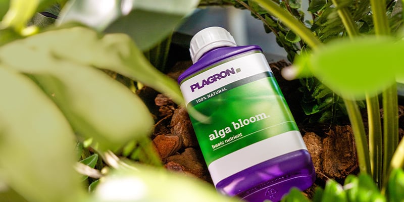 Stel je ideale biologische voedingsplan op