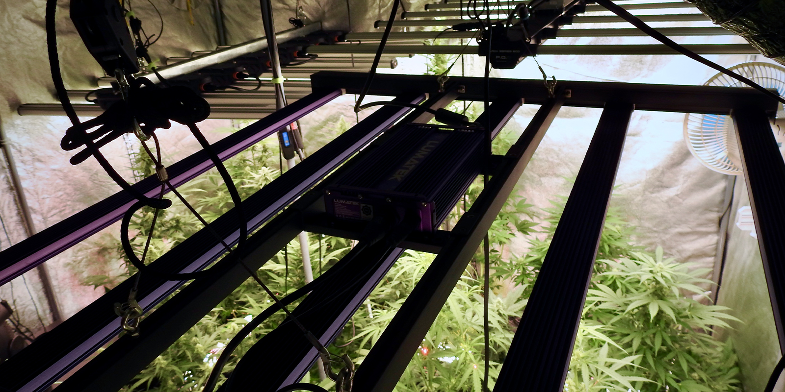 1. Controleer je omgeving