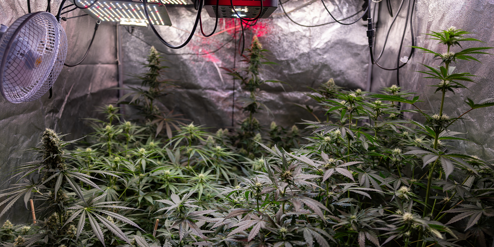 3. Maak kleine, gerichte aanpassingen