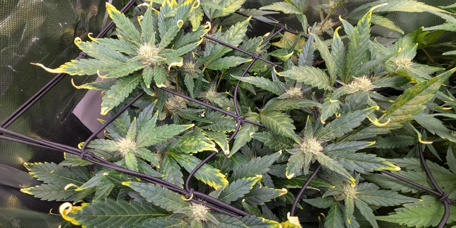 Wanneer moet je je zorgen maken?