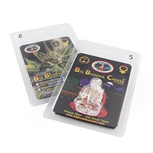 Verpakking van Big Buddha Seeds Verpakking van Big Buddha Seeds