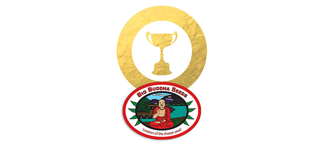 Awards Big Buddha Seeds Big Buddha Seeds Awards