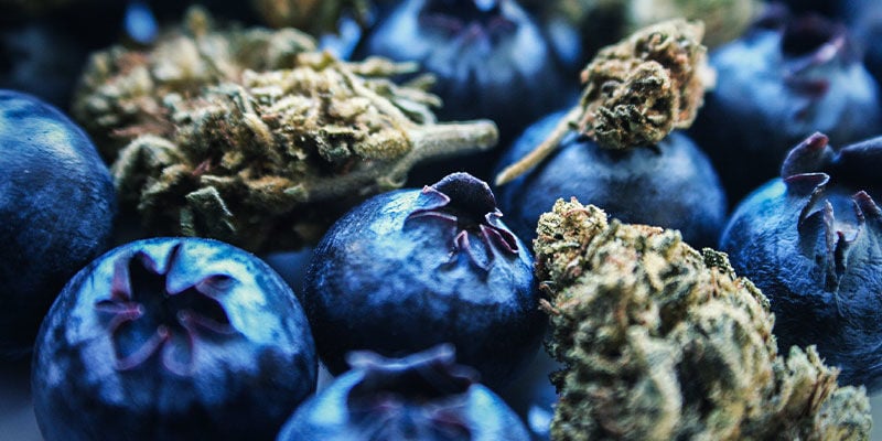 Blueberry: Smaak En Effecten