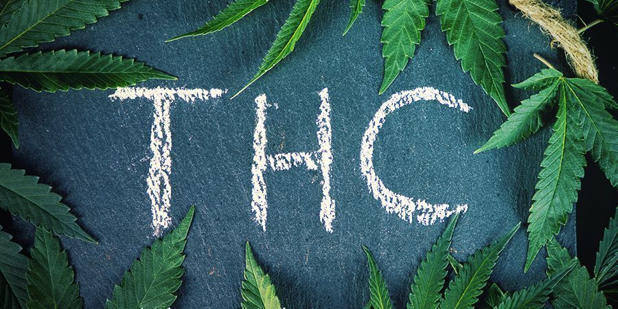 Wat is het verschil tussen hennep en cannabis?