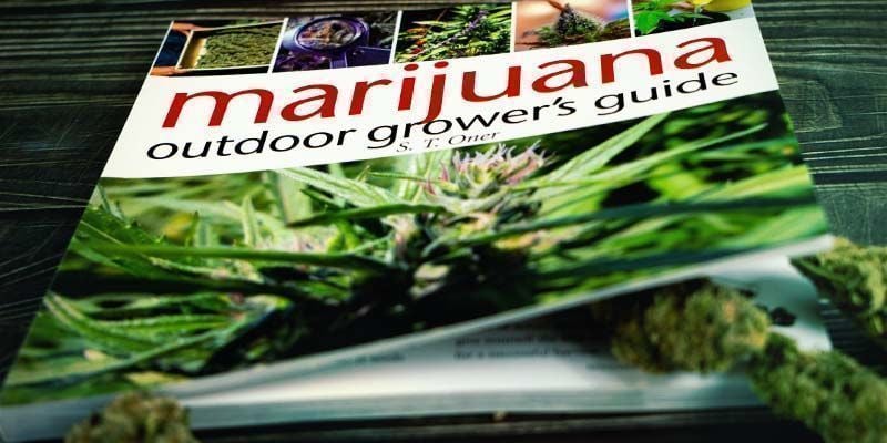 Marijuana Outdoor Grower's Guide