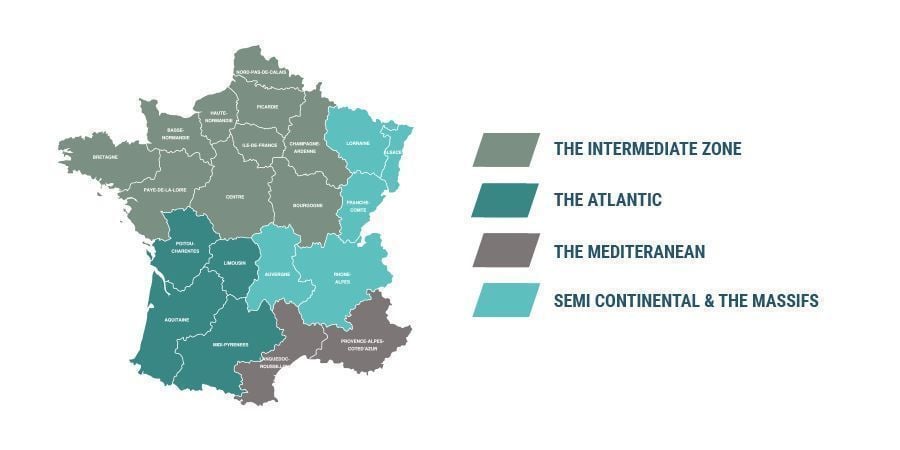 CANNABIS KWEKEN IN HET FRANSE KLIMAAT