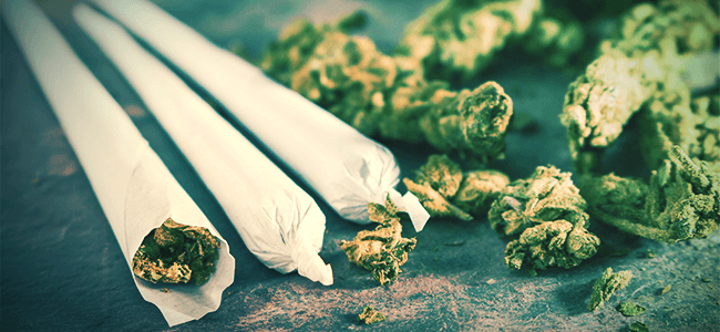 The Difference Between Joints, Blunts And Spliffs - Zamnesia Blog