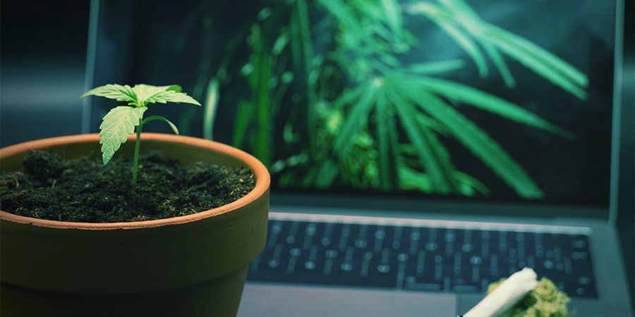 Wat zijn de beste websites voor stoners?