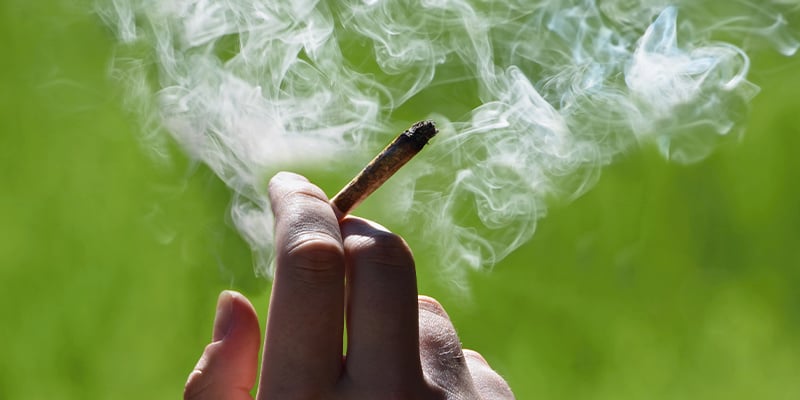 Kun je mannelijke wietplanten roken?