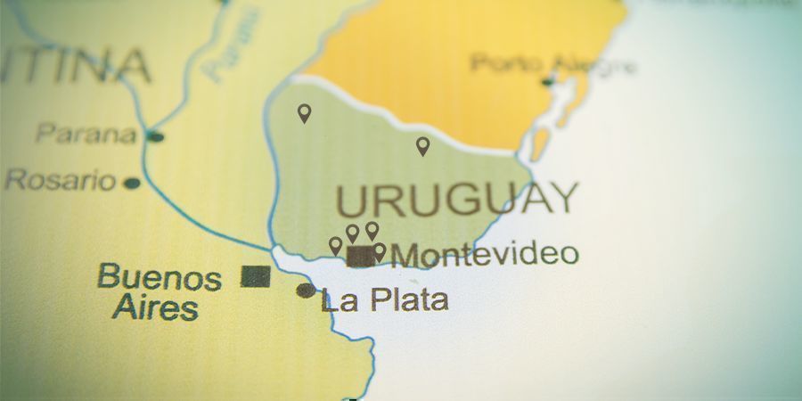 Minder Dan 20 Erkende Apotheken In Uruguay Mogen Cannabis Verkopen