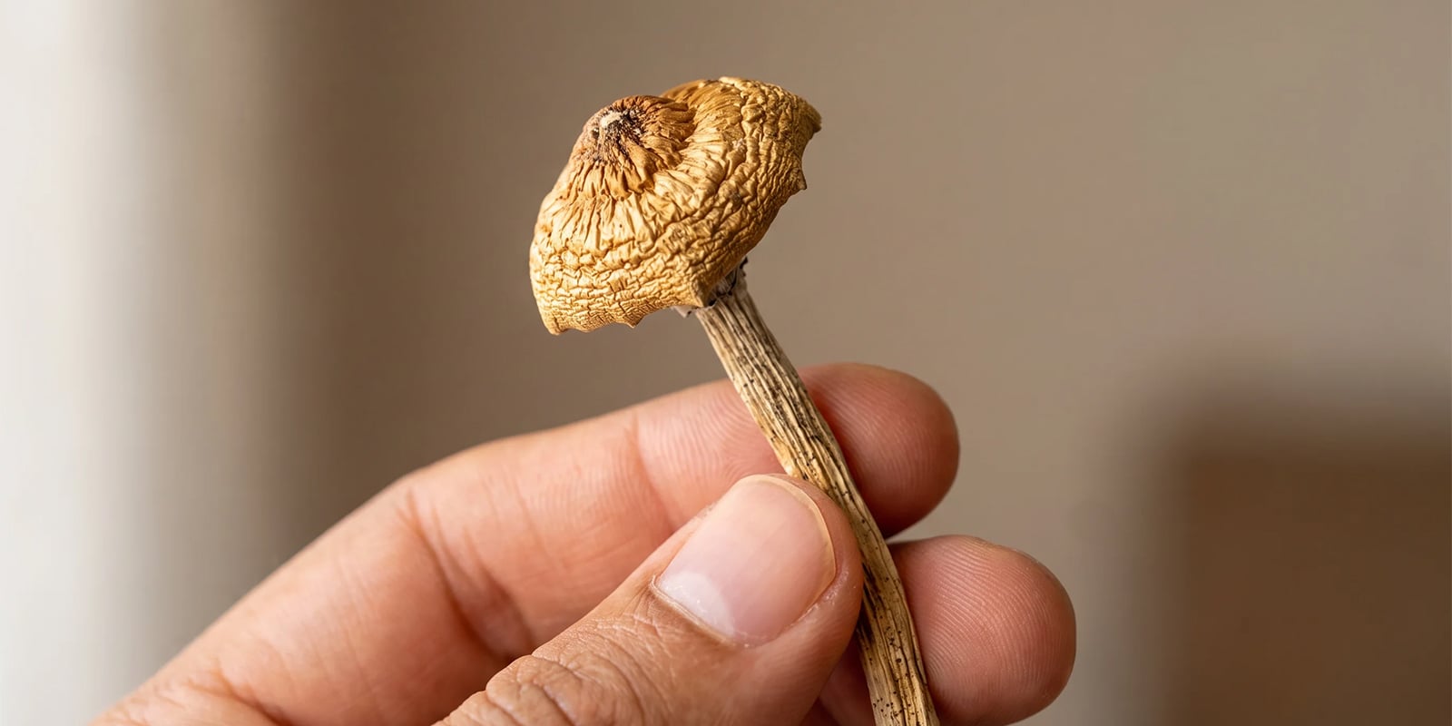 Wat betekent 'veiligste drug' eigenlijk?