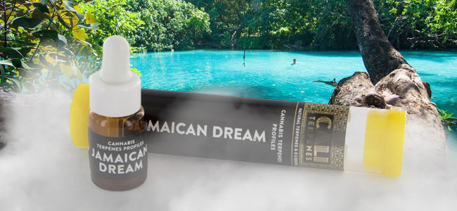 Jamaican Dream (Cali Terpenes)