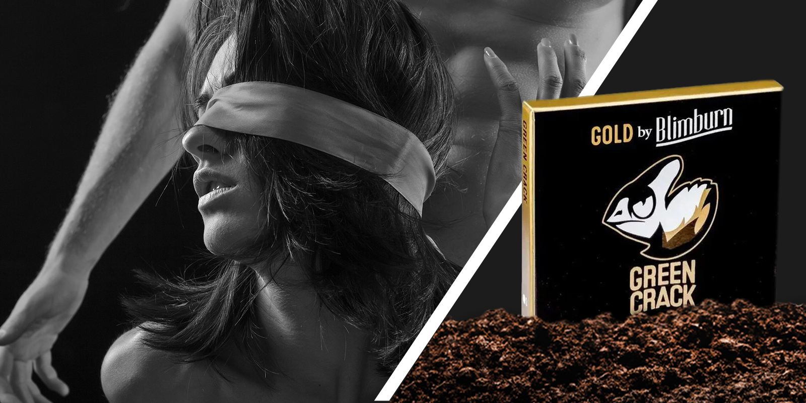 Voor energie, speelsheid en passie: de intensity booster