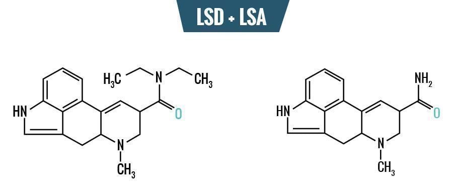 LSA vs LSD – Het Verschil