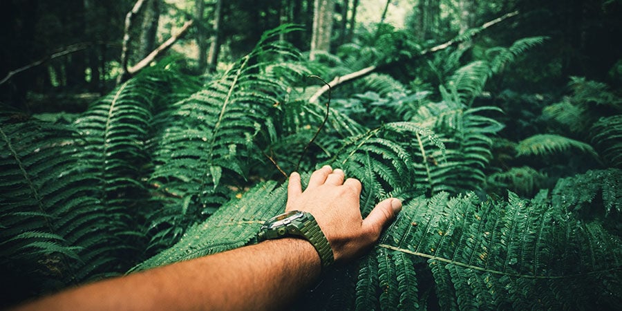 Hoe onderneem je een vision quest: Trek de natuur in