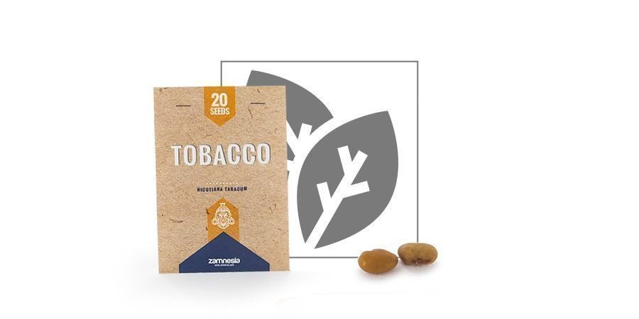 Tobacco (Nicotiana Tabacum)