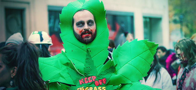 Creëer Zelf Een Halloween Kostuum Met Als Thema Cannabis