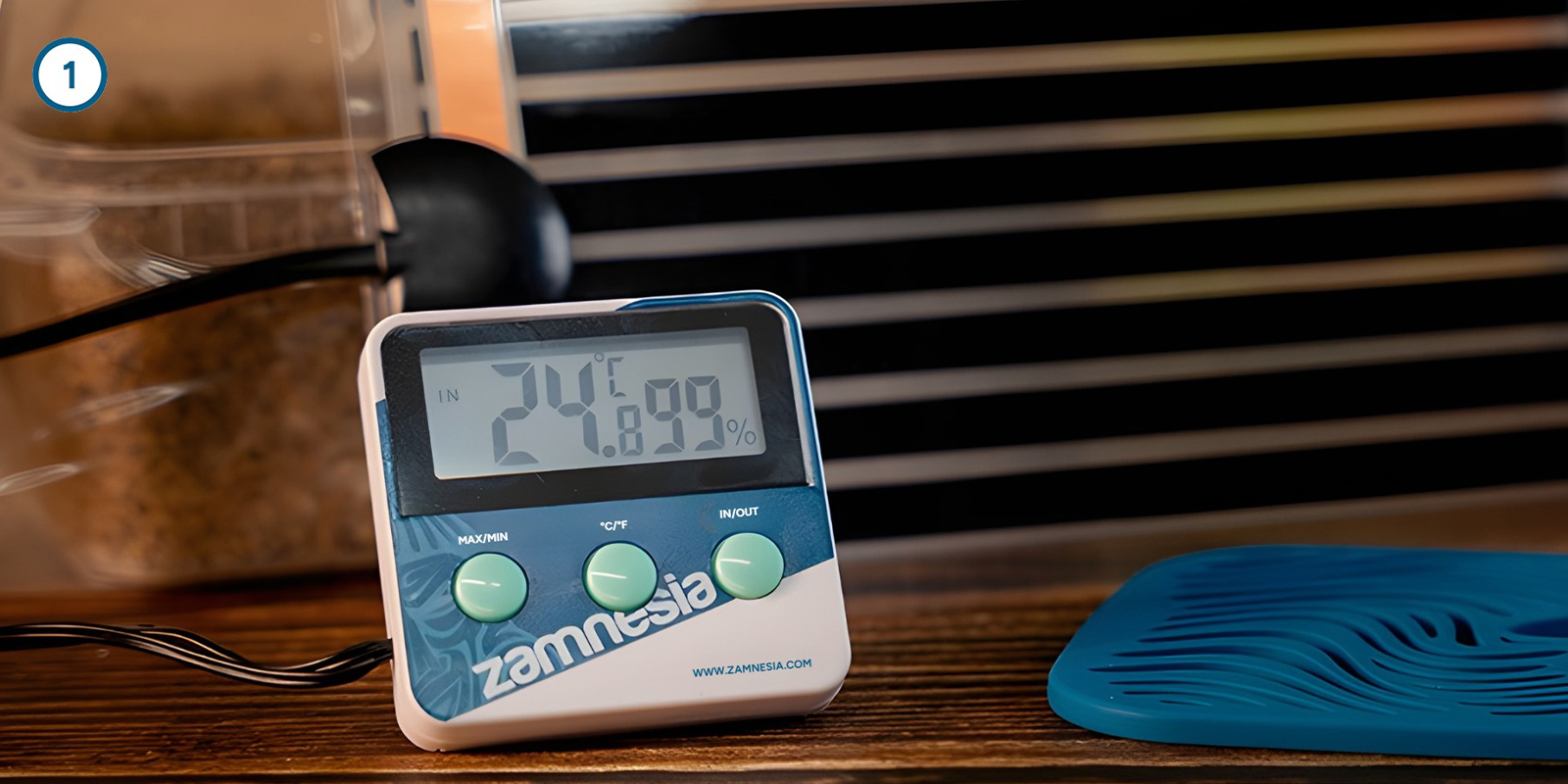 Magisch mycelium thuis kweken