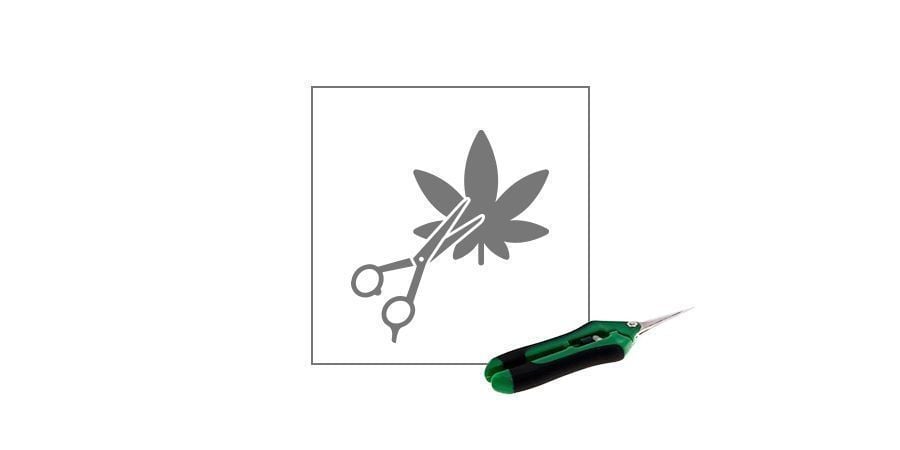 Professionele Snoeischaar Cannabis