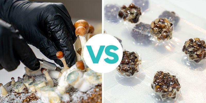 Magic truffles versus paddo's