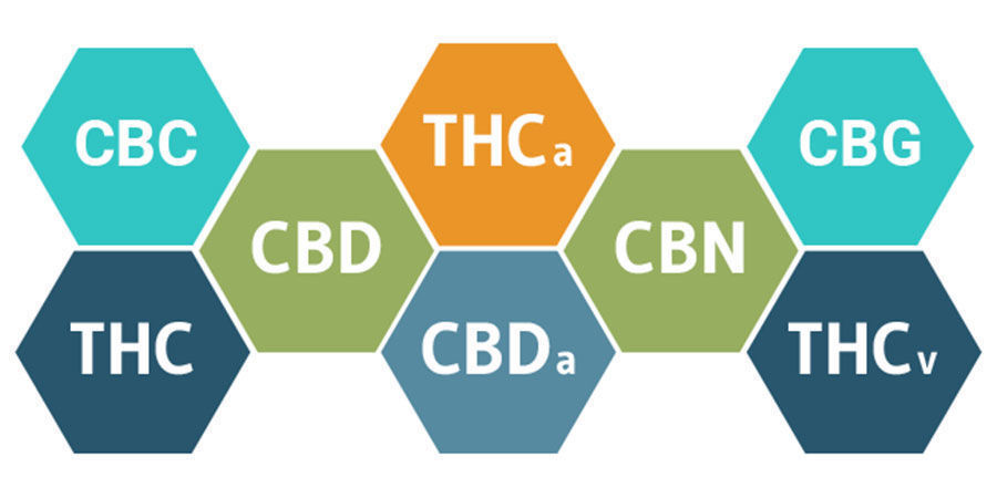 Entourage effect en cannabinoïden