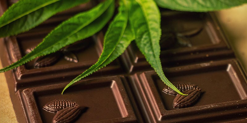 CHOCOLADE EN CANNABIS: HET PERFECTE CHEMISCHE KOPPEL