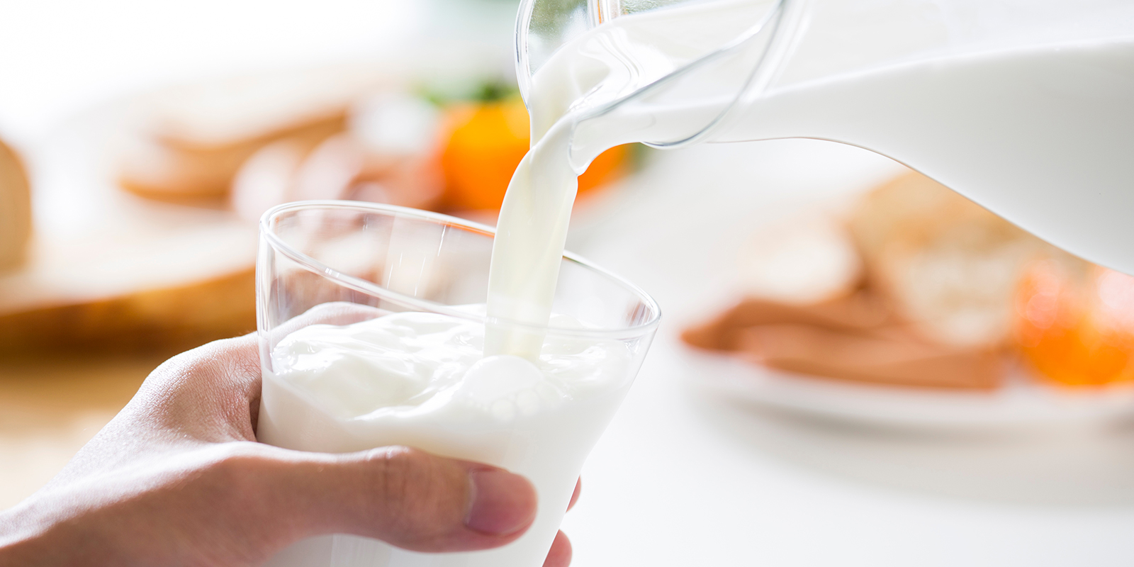 Mythe 2: Melk zuivert de urine Mythe 2: Melk zuivert de urine