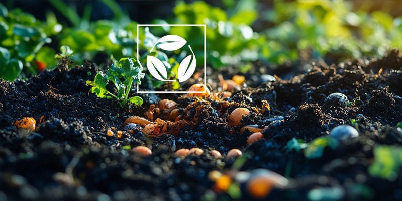 Wat Is Biologische Levende Grond?