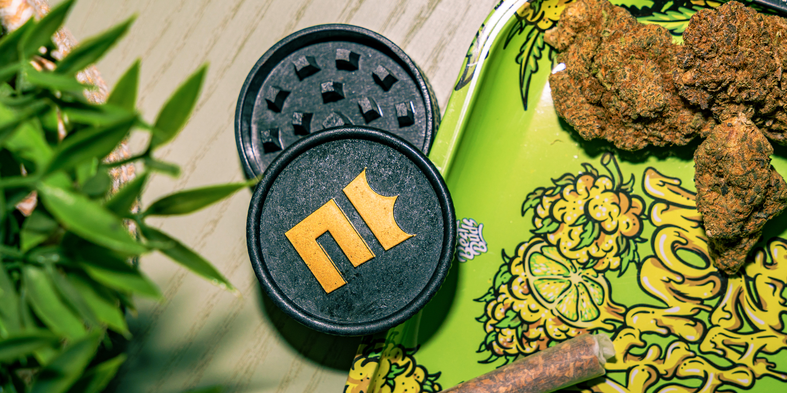 Biologisch afbreekbare hennepgrinder: Zamnesia Biologisch afbreekbare hennepgrinder: Zamnesia