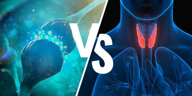 Het ECS Versus Het Endocriene Systeem