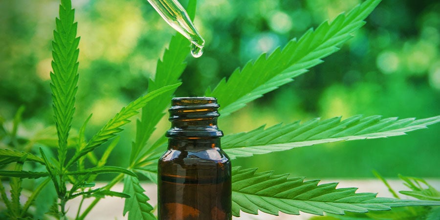 CBD Fix Auto: Medicinale Kwekers Staan Te Popelen