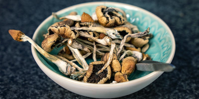Dried magic mushrooms
