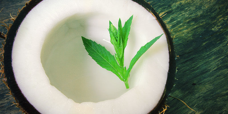 Kokoswater: Nuttige Vitaminen En Mineralen Cannabis