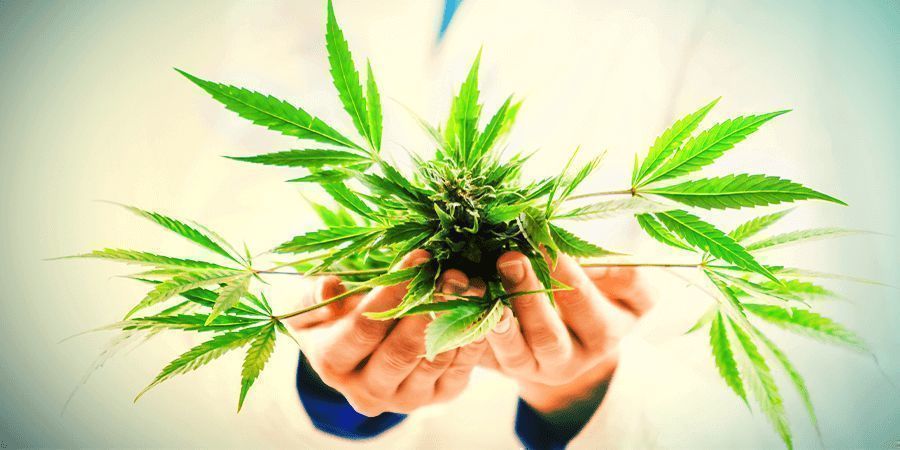 HOE WIL JE CBD GEBRUIKEN?