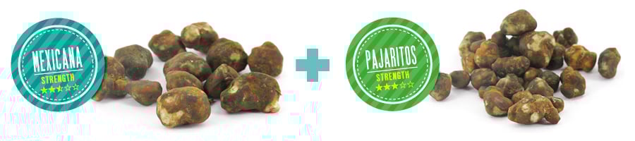 WAAROM IS ONS MAGIC TRUFFLE DYNAMIC DUO ZO SPECIAAL?