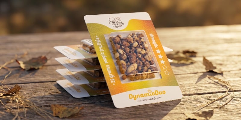 Wat Maakt Onze Dynamic Duo Zo Bijzonder?