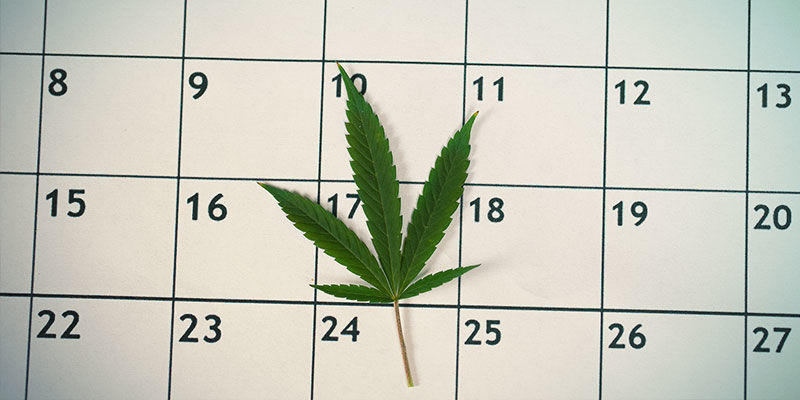 Voorbereiden Op Een Drugstest