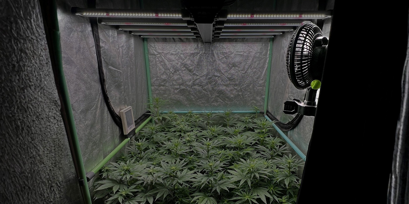 Houd de luchtvochtigheid in balans om schimmel te voorkomen Houd de luchtvochtigheid in balans om schimmel te voorkomen