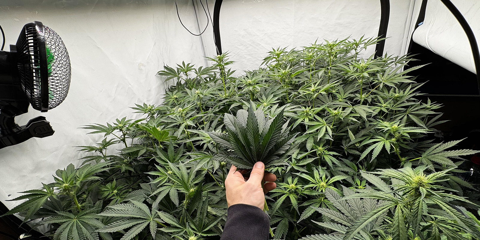 Plan je timing Plan je timing