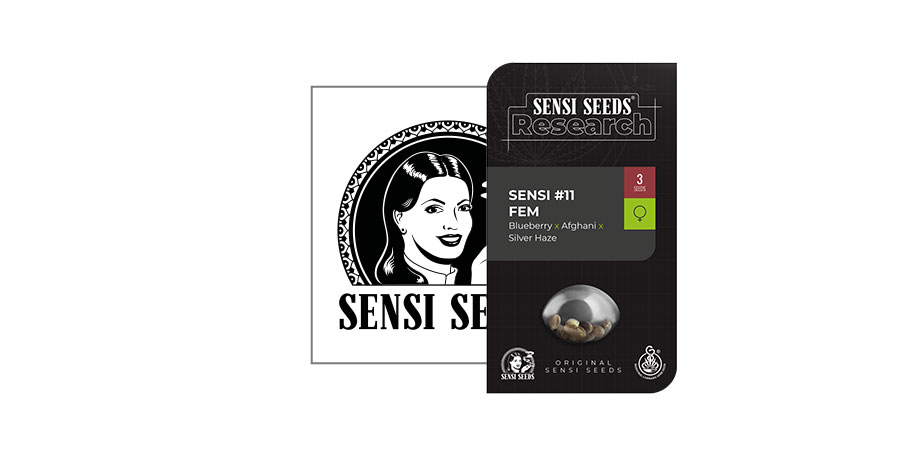 Sensi 11 (Sensi Seeds Research)